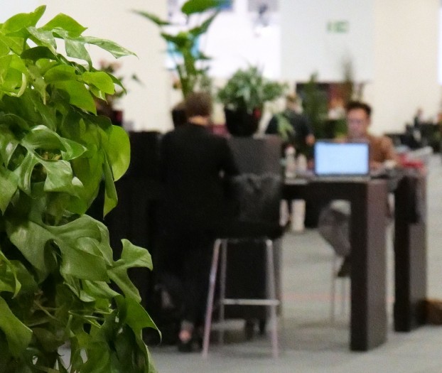 Crop aus einem Foto, das mit ISO 51200 aufgenommen wurde - Kamera ist ein Vorserienmodell.  (Bild: Martin Wolf / Golem.de) 